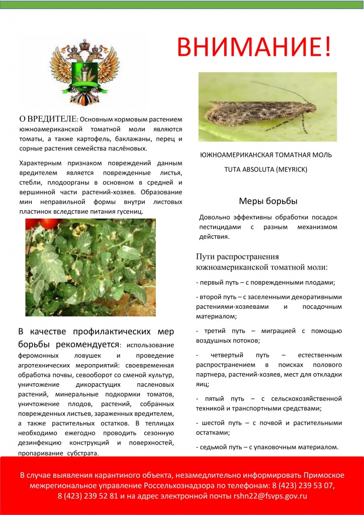 ПАМЯТКА ЮТМ.jpg
