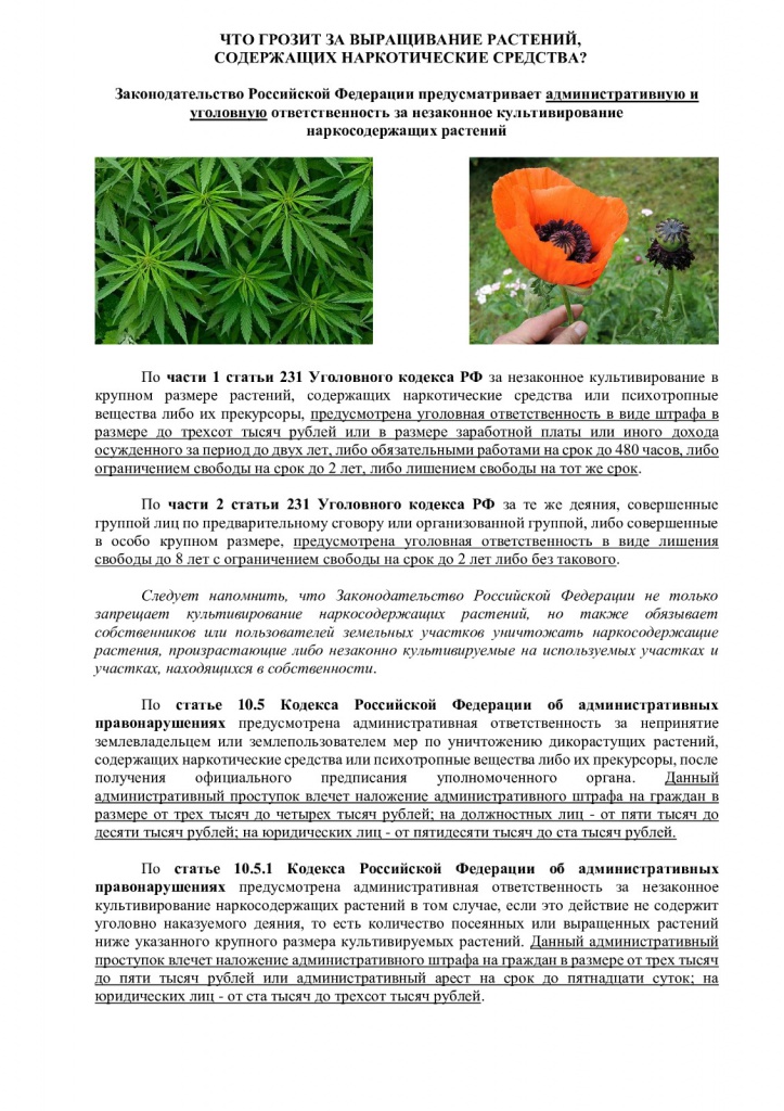 IMG-20240715-WA0000.jpg