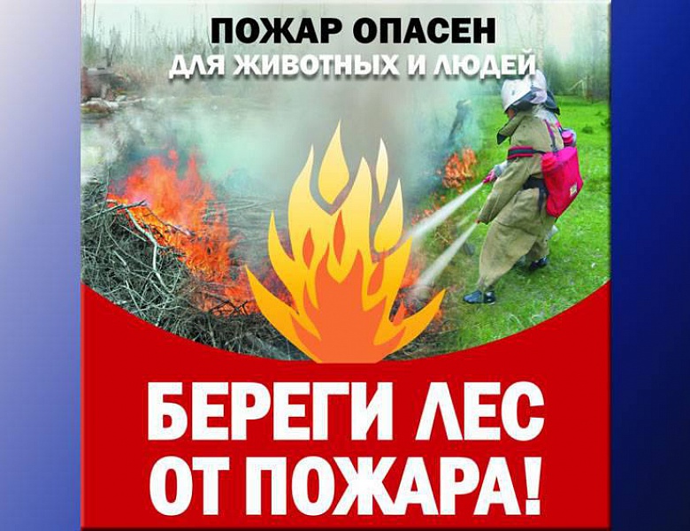 О соблюдении правил пожарной безопасности в лесах